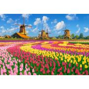 Puzzle Castorland Holländische Windmühlen Zwischen Tulpen 1000 T