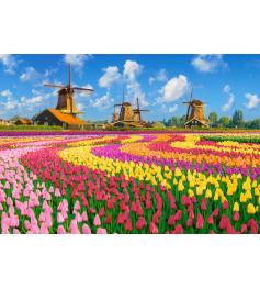 Puzzle Castorland Holländische Windmühlen Zwischen Tulpen 1000 T