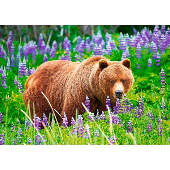 Castorland Puzzle Bär auf der Wiese 500 Teile