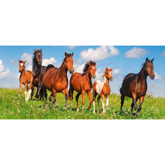 Castorland Horse Paradise Puzzle mit 600 Teilen