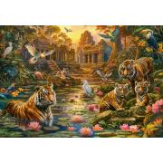 Puzzle Castorland Tigerparadies 1000 Teile