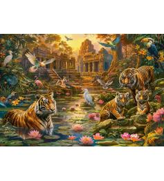 Puzzle Castorland Tigerparadies 1000 Teile