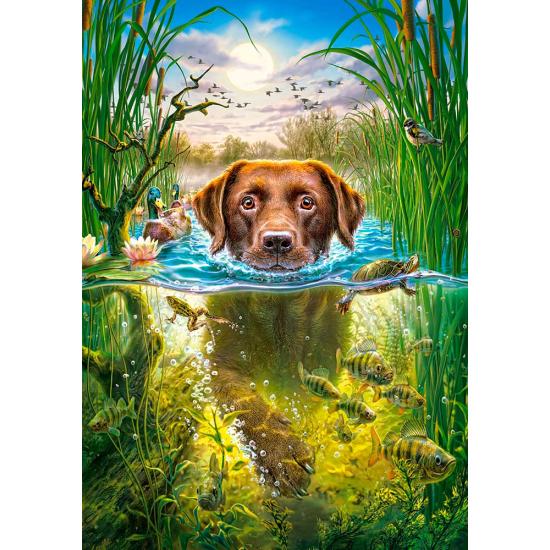Castorland Schwimmender Hund Puzzle 500 Teile