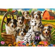 Puzzle Castorland Glückliche Hunde Auf Dem Land 1000 Teile