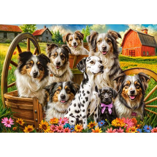 Puzzle Castorland Glückliche Hunde Auf Dem Land 1000 Teile