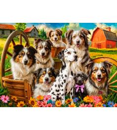 Puzzle Castorland Glückliche Hunde Auf Dem Land 260 Teile
