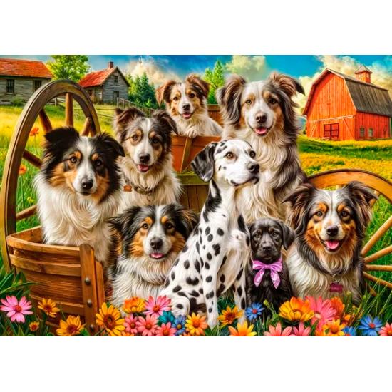 Puzzle Castorland Glückliche Hunde Auf Dem Land 260 Teile