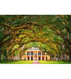 Puzzle Castorland Paseo de Robles Plantage 1000 Teile