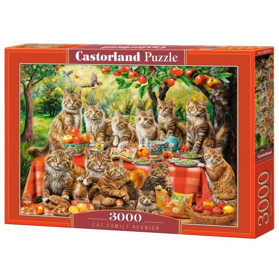 Puzzle Castorland Katzenfamilientreffen 3000 Teile