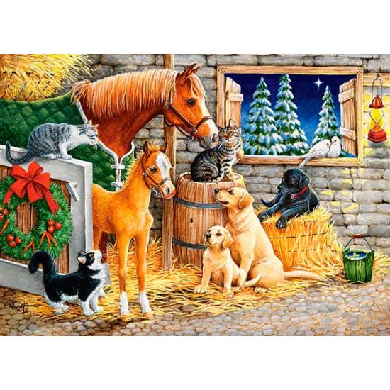 Castorland Puzzle Tierfreunde treffen sich 300 Teile