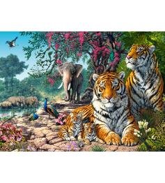 Castorland Tiger Sanctuary Puzzle 300 Teile