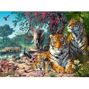 Castorland Tiger Sanctuary Puzzle 3000 Teile