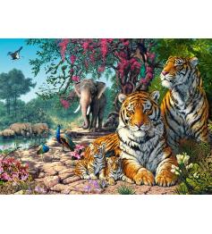 Castorland Tiger Sanctuary Puzzle 3000 Teile