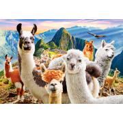 Castorland Selfie Lama Puzzle 1000 Teile