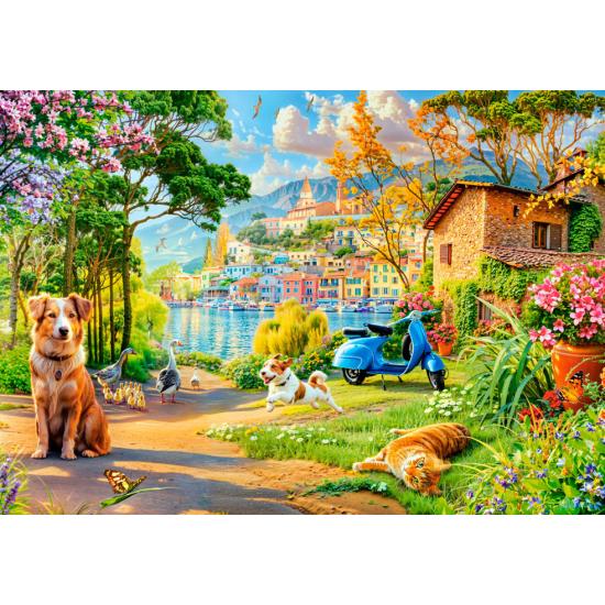 Puzzle Castorland Seeweg 500 Teile