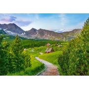 Castorland Trail in der Tatra, Polen 500-teiliges Puzzle