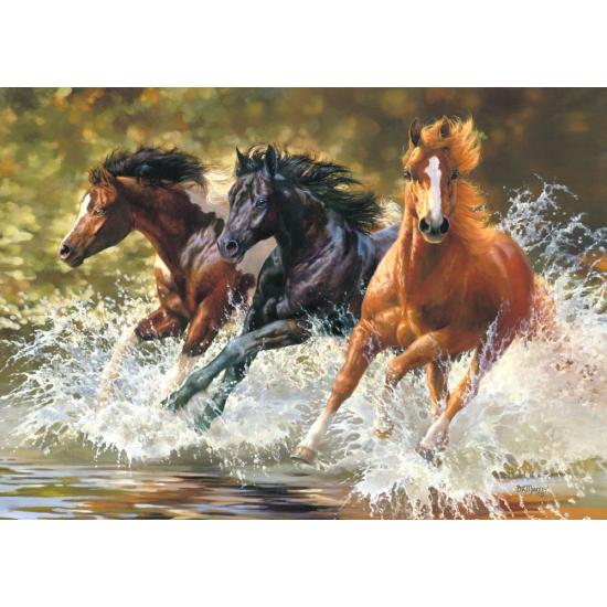 Castorland Splash Puzzle 500 Teile