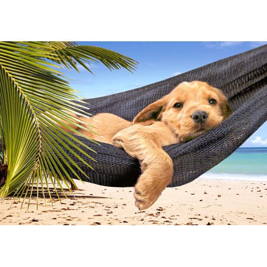 Castorland Ruhezeit-Puzzle 500 Teile