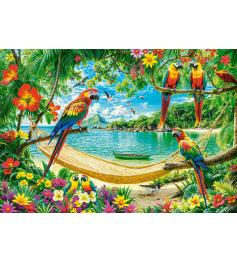 Puzzle Castorland Exotischer Ort Für Sie 1000 Teile