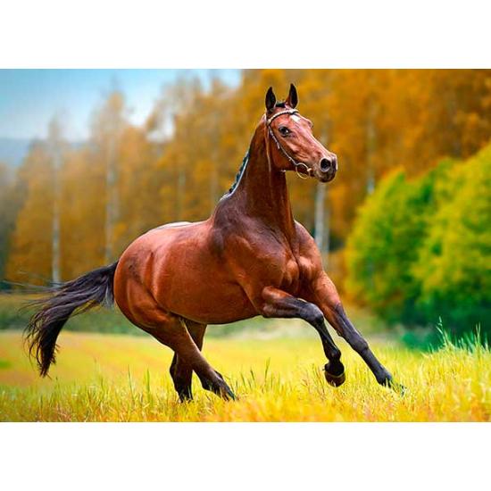 Castorland Herbstwind 180-teiliges Puzzle