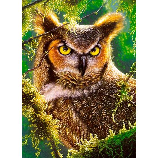 Castorland Watching and Waiting Puzzle mit 300 Teilen