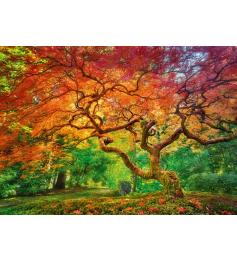 Cherry Pazzi Reddish Splashed Tree Puzzle 1000 Teile