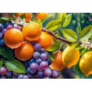 Puzzle Cherry Pazzi Sonnige Früchte 1000 Teile