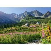 Cherry Pazzi Hala Gasienicowa Puzzle, Tatra-Gebirge, 1000 Teile