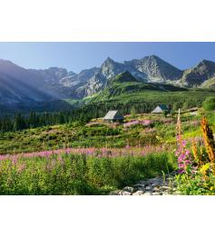 Cherry Pazzi Hala Gasienicowa Puzzle, Tatra-Gebirge, 1000 Teile