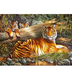 Cherry Pazzi Tiger in Calm Puzzle 1000 Teile