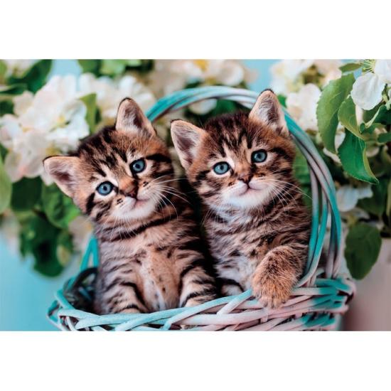 Clementoni Puzzle Hübsche Katzenzwillinge 60 Teile