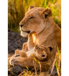 Puzzle Clementoni Katzenliebe mit 500 Teilen