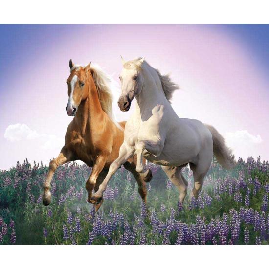 Clementoni Free Horses Puzzle 500 Teile