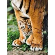 Clementoni Bengal Tiger Cub Puzzle 500 Teile