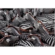 Clementoni Zebras Puzzle 1000 Teile