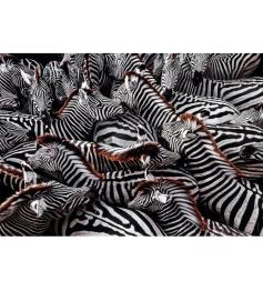 Clementoni Zebras Puzzle 1000 Teile