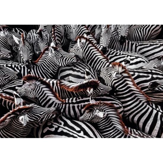 Clementoni Zebras Puzzle 1000 Teile Clementoni Zebras Puzzle 1000 Teile