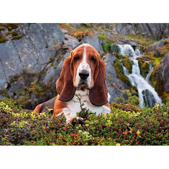 Clementoni Chalie Brown 1000-teiliges Puzzle