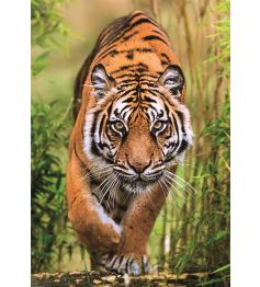 Puzzle Clementoni Der Pfad Des Jägers 1000 Teile