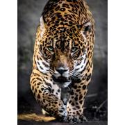 Clementoni Puzzle Die Passage des Jaguars 1000 Teile