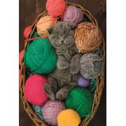 Puzzle Clementoni Kätzchen In Strängen mit 500 Teilen