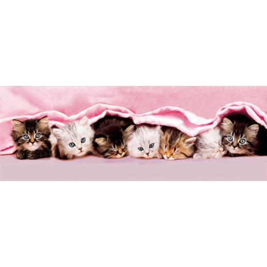 Clementoni Kittens Under the Blanket Puzzle 1000 Teile