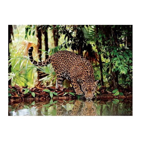 Clementoni Leopard Puzzle 2000 Teile