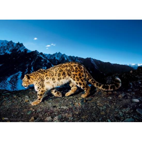 Clementoni Puzzle Leopard im Schnee 1000 Teile