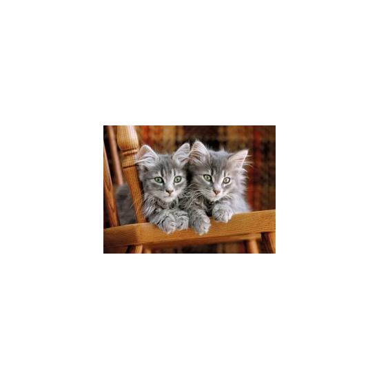 Clementoni Die Kätzchen Puzzle 500 Teile