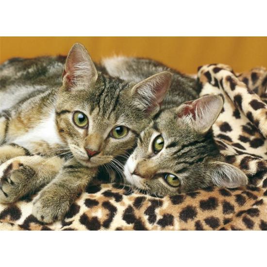 Clementoni Die Katzenaugen-Puzzle 1000 Teile