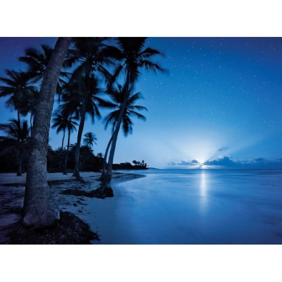 Clementoni Halbmond-Puzzle 500 Teile