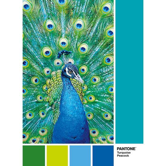 Clementoni Puzzle PANTONE 7466, Pfau von 1000