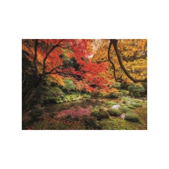 Clementoni Park im Herbst Puzzle 1500 Teile