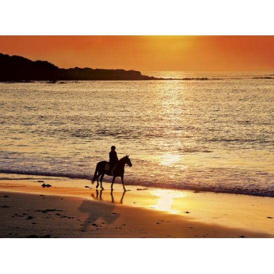 Clementoni Puzzle Pferderitt 500 Teile